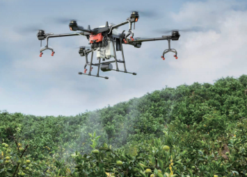 案例二：柑橘红蜘蛛防治